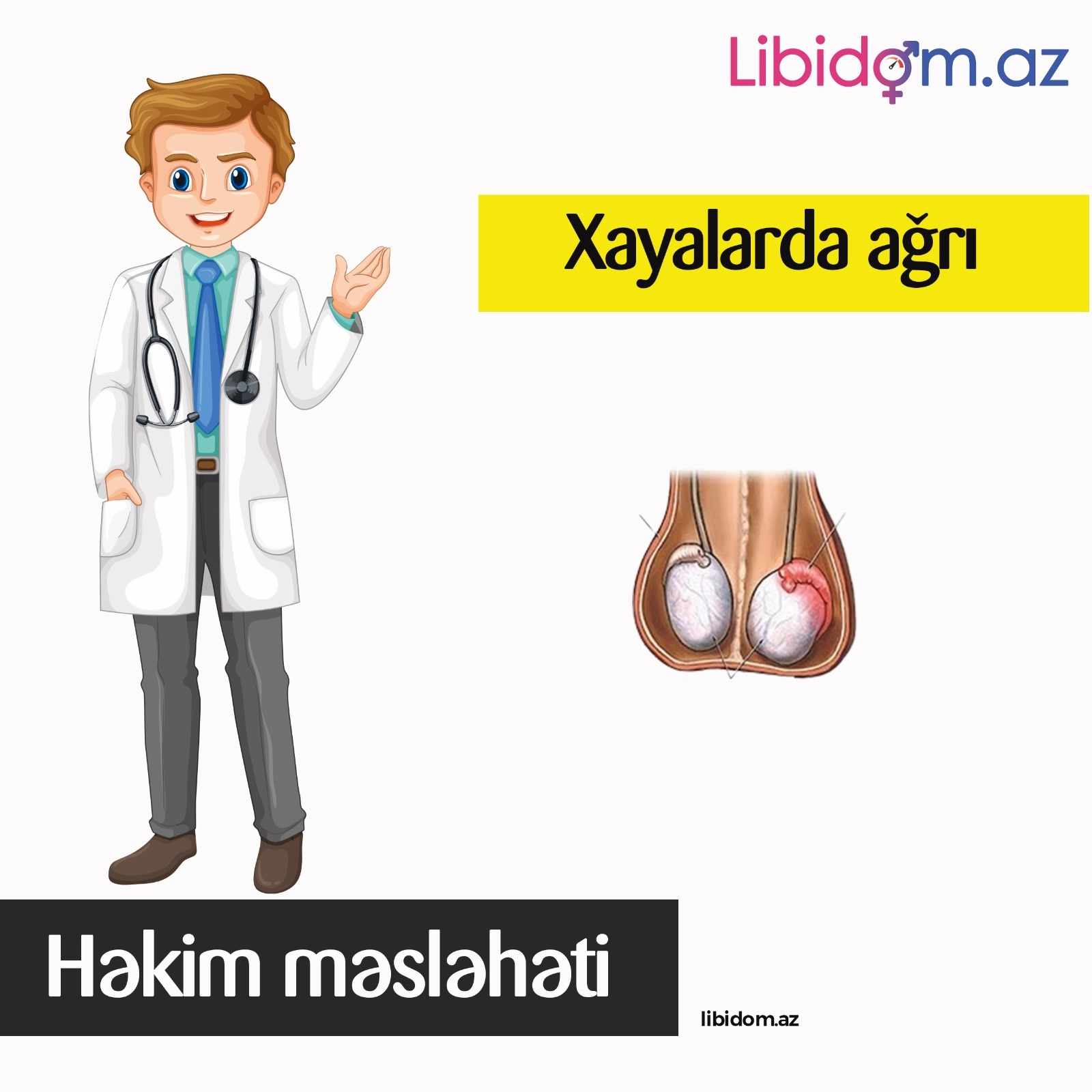 Xayalarda ağrı