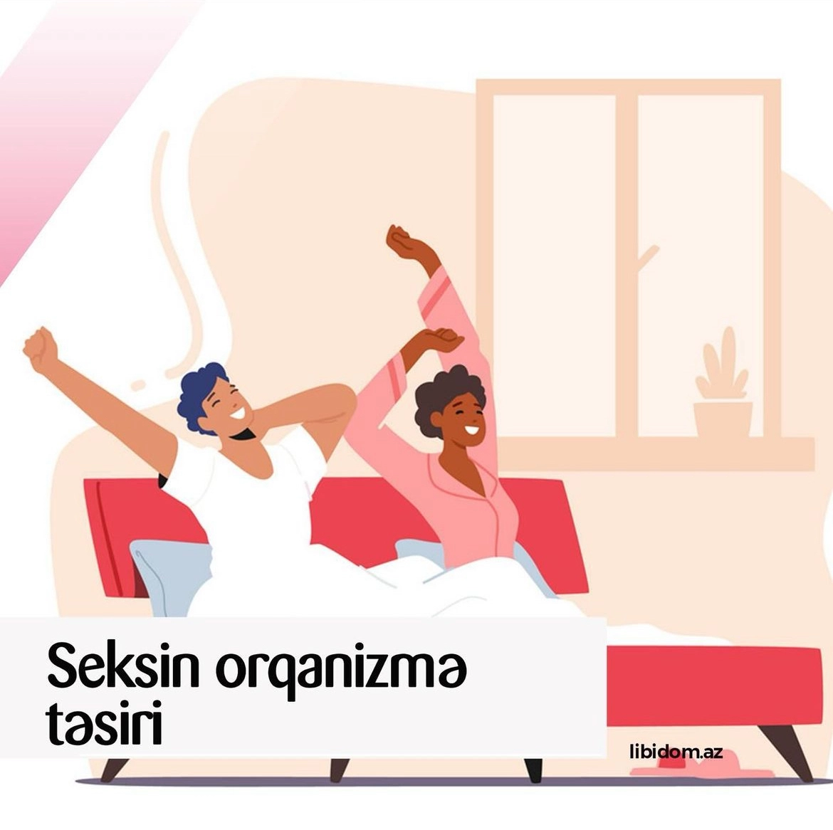 Seksin orqanizmə təsiri