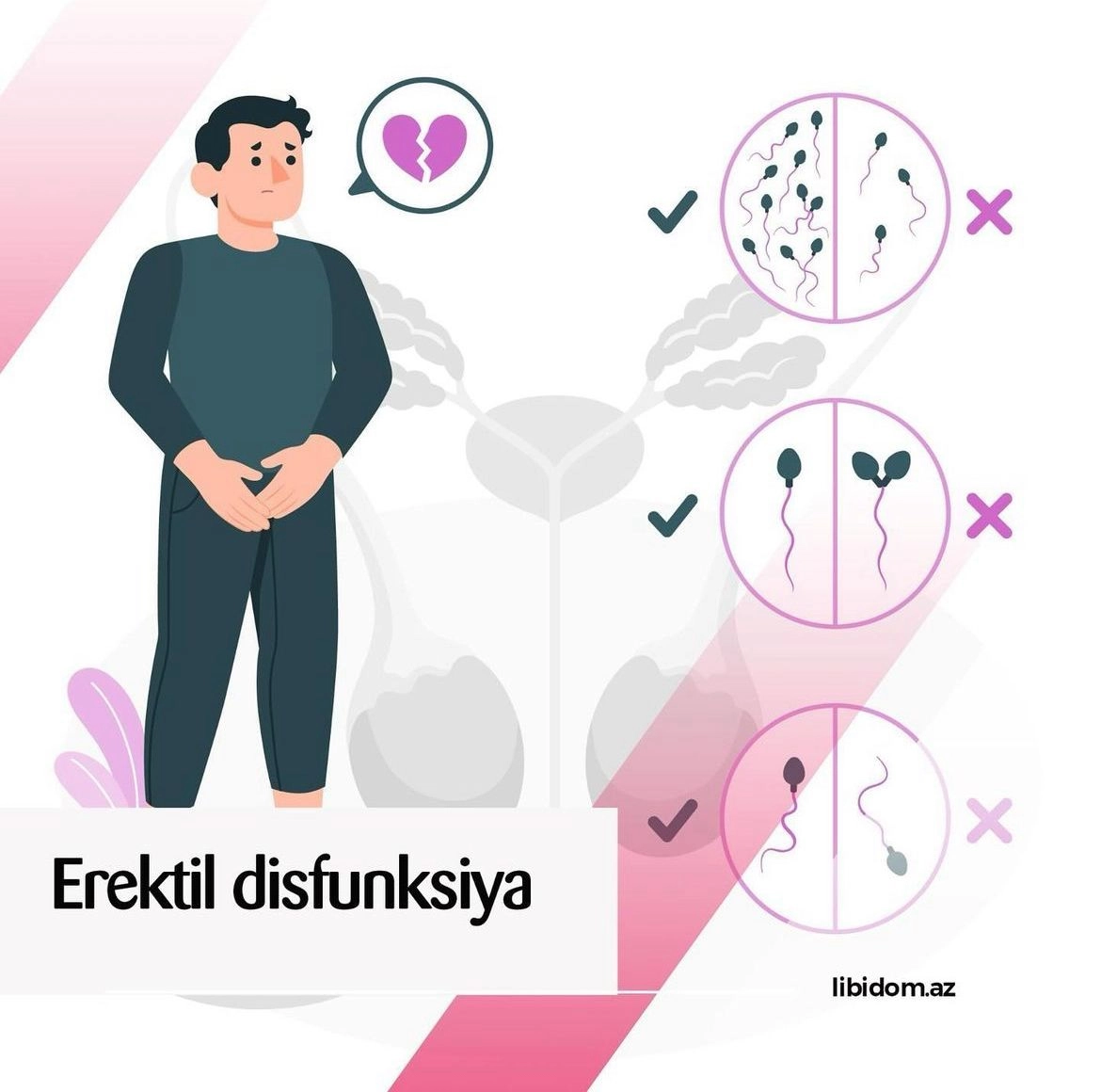 Erektil disfunksiya